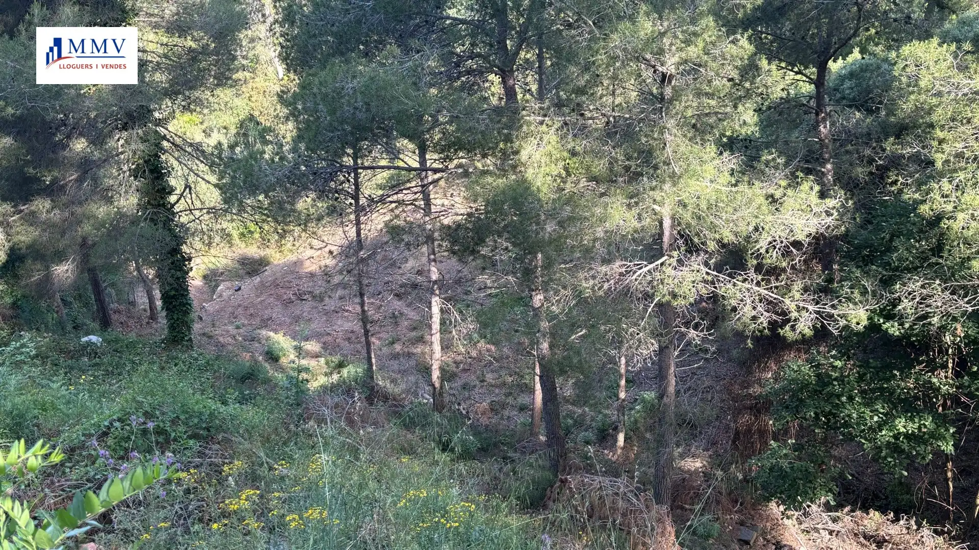 Terreny residencial en venda a Carrer Pulmonaria 9, imagen 6