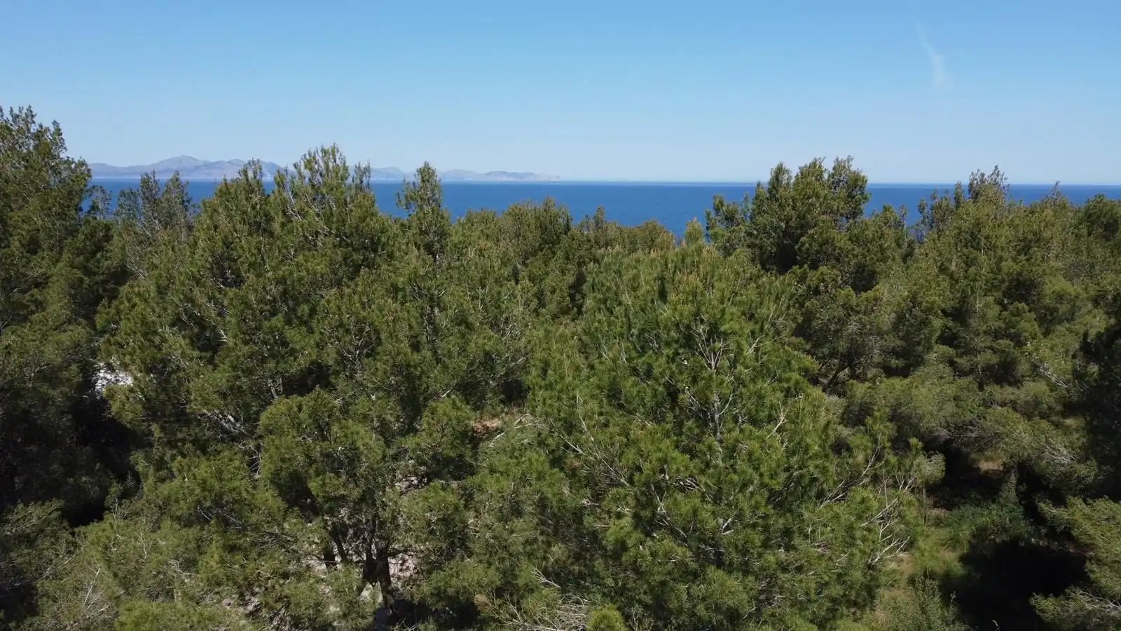 Terrenys i solars en venda a Betlem, imagen 8