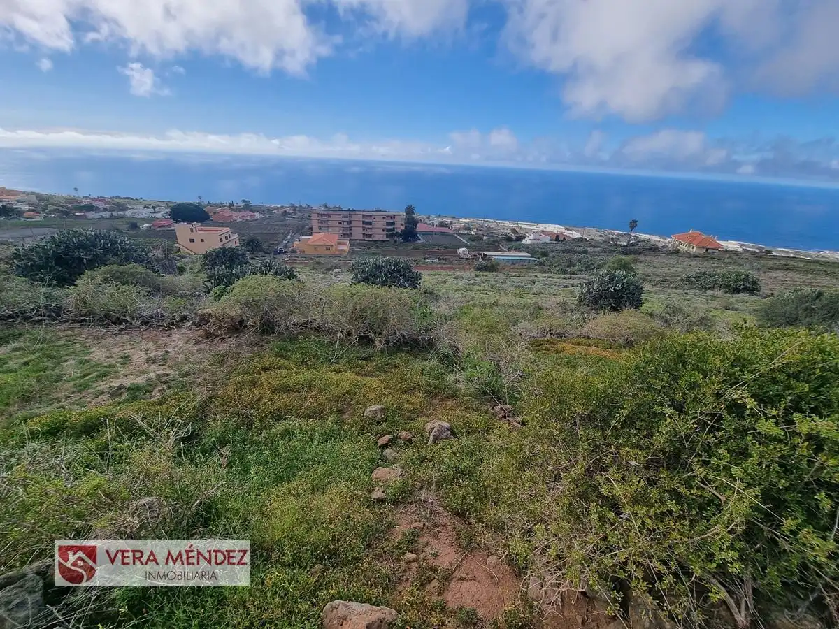 Finca rústica en venta en Tacoronte