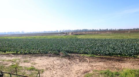 Photo 4 of Country house for sale in Polígono 680 - Parcela 423, Pueblonuevo del Guadiana, Badajoz