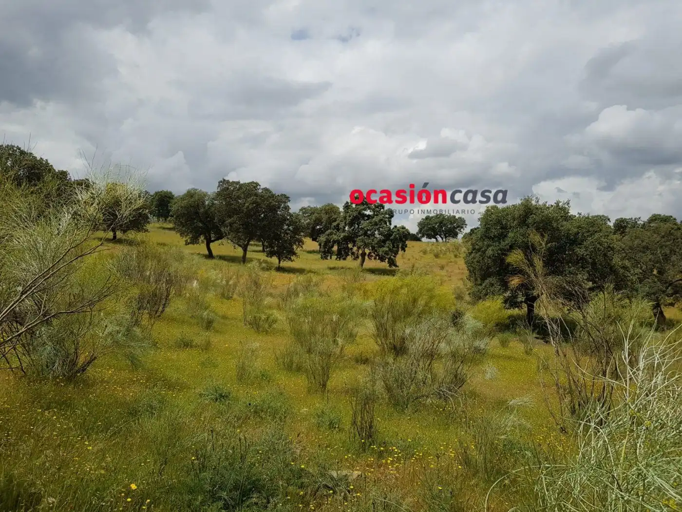 Finca rústica en venta en Torrecampo
