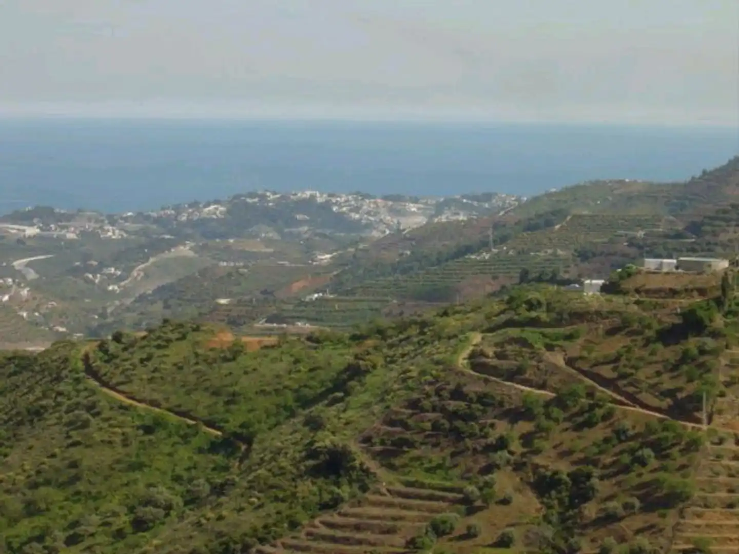 Rural land for sale in Diseminado Matachinas Pol 12, imagen 8