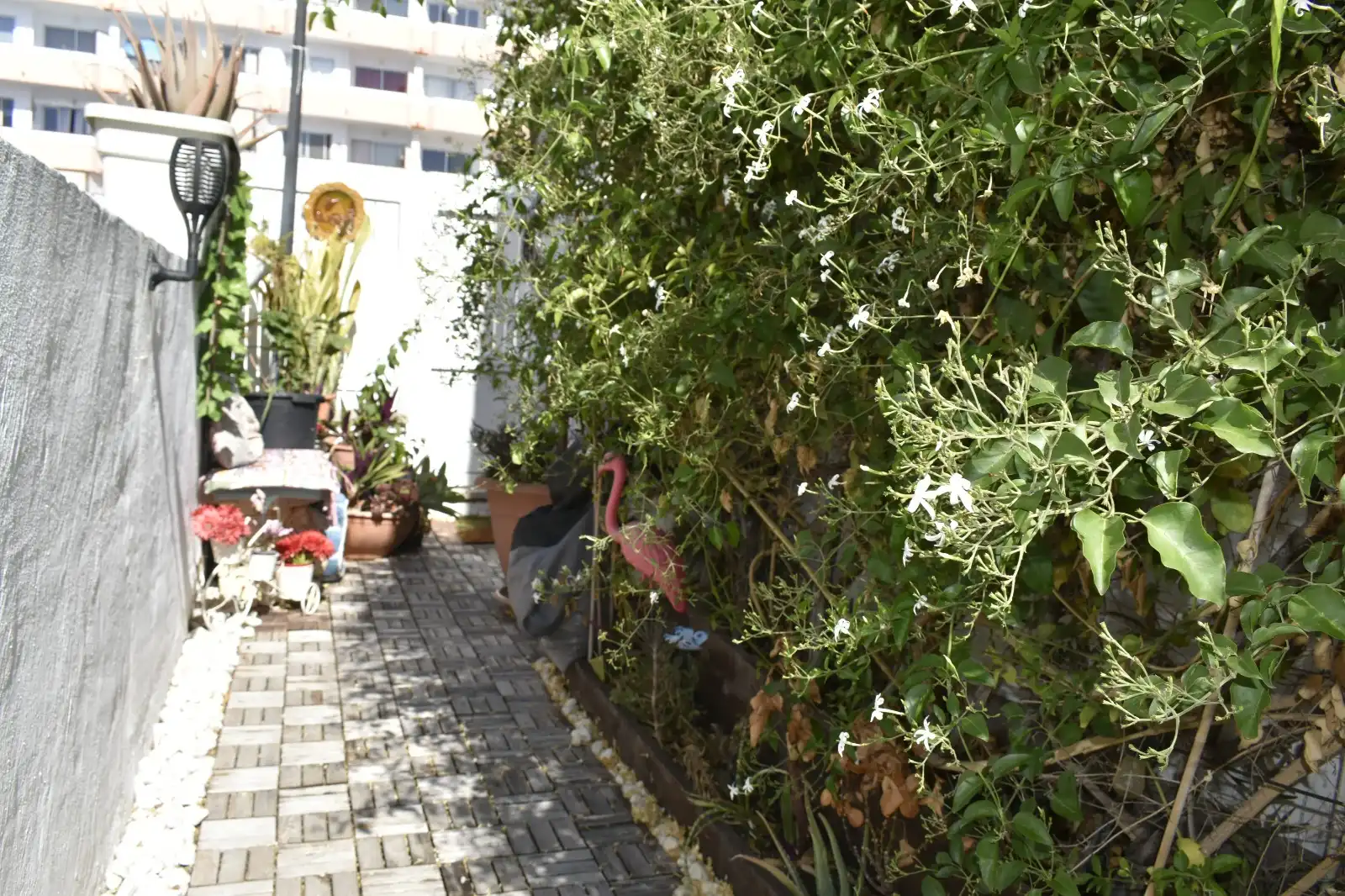 Bungalow avec piscine à vendre à Avenida de Menceyes 5, imagen 32