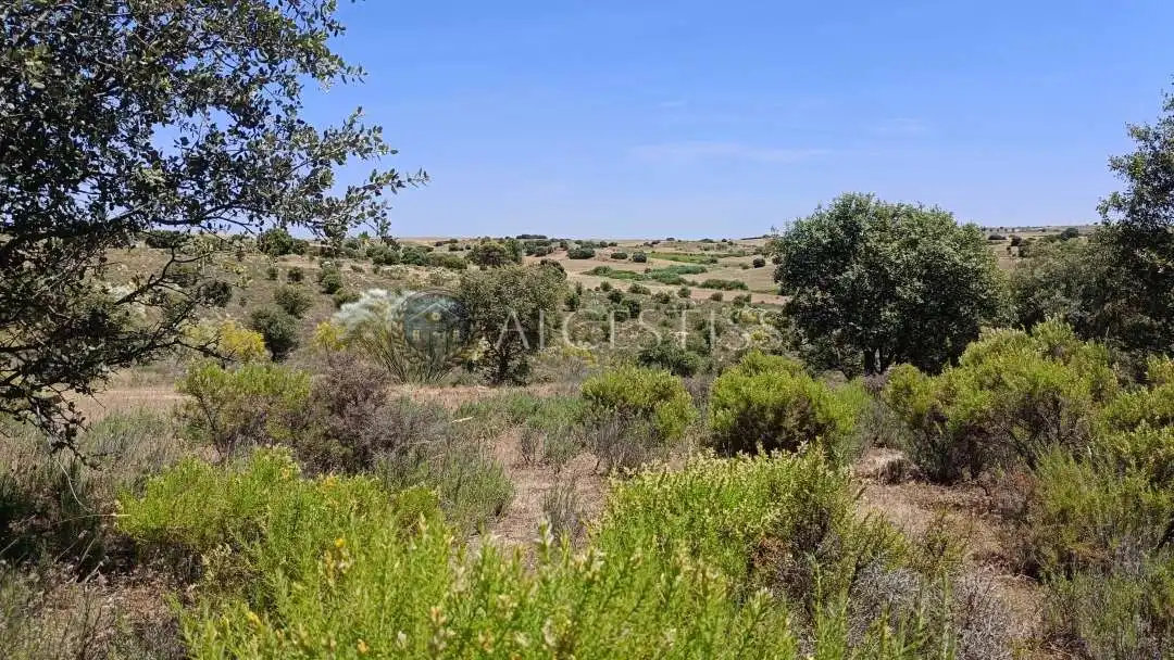 Terreno en venta en La Torre de Esteban Hambrán