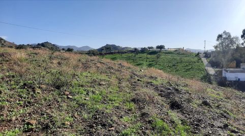 Se Vende Finca con 3 Parcelas juntas en Almogía, Málaga