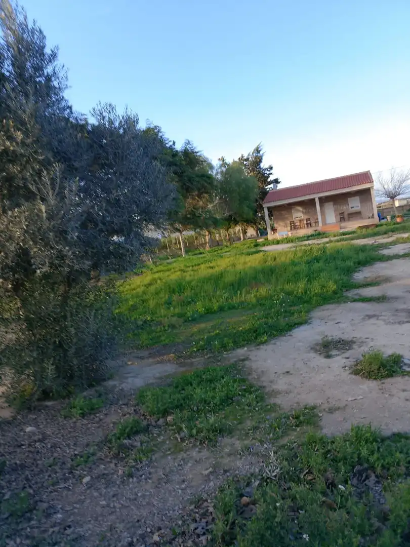Finca rústica en venta en Daya Nueva
