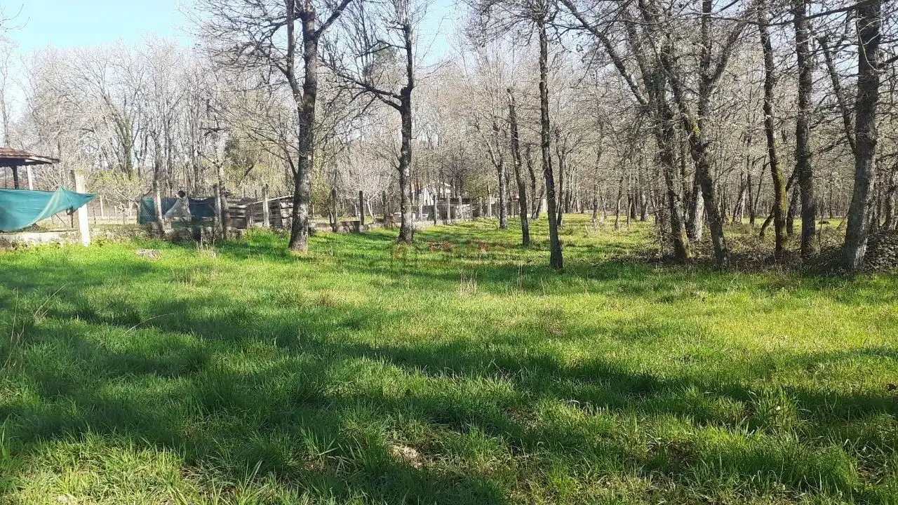 Terreni e lotti in vendita a Paderne de Allariz, imagen 15