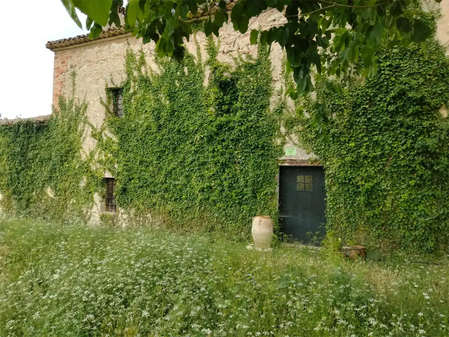 Vista exterior de Finca rústica en venda en Alcoy / Alcoi amb Piscina i Balcó