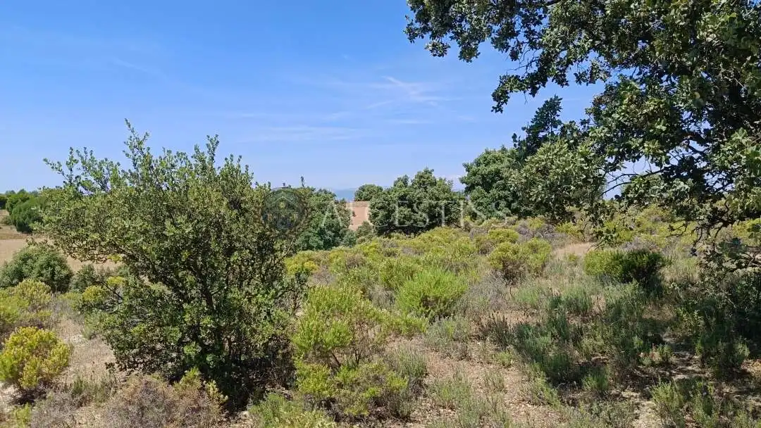 Terreno en venta en La Torre de Esteban Hambrán