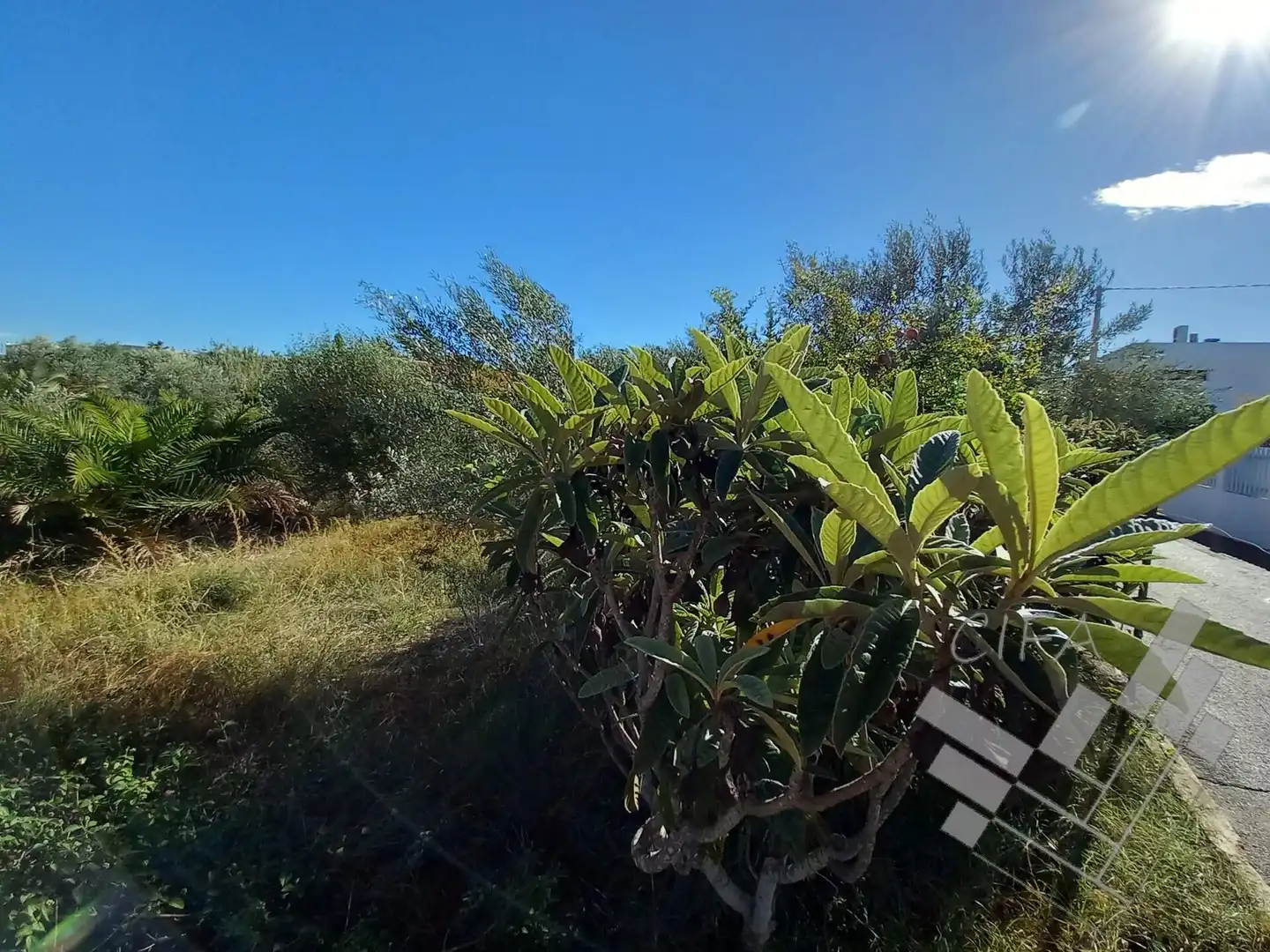 Terreno en venta en Vinaròs