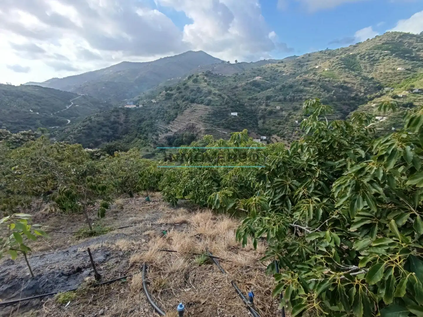 Terreny rústic en venda a Sayalonga, imagen 2