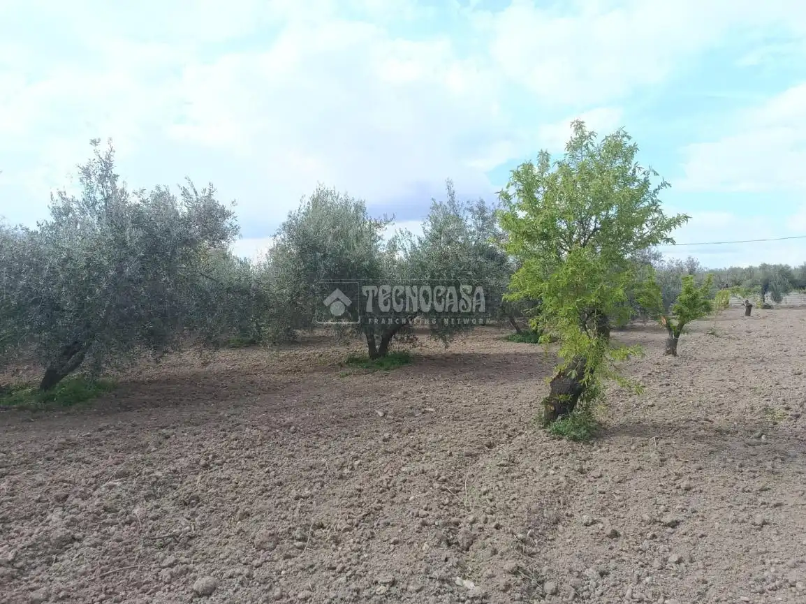 Wohnbaugrundstück zum Verkauf in Gójar, imagen 13
