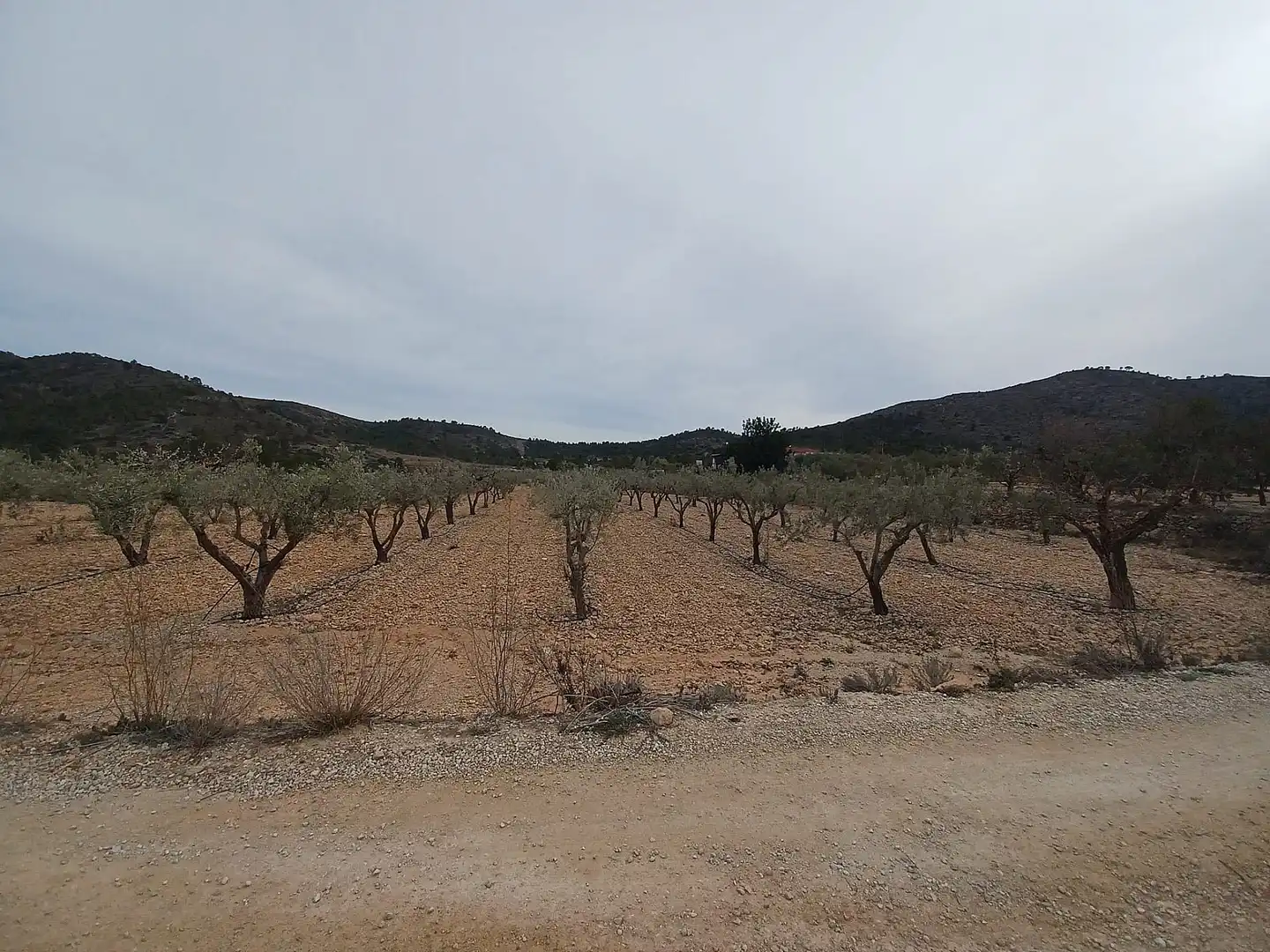 Terreny residencial en venda a La Romana, imagen 4