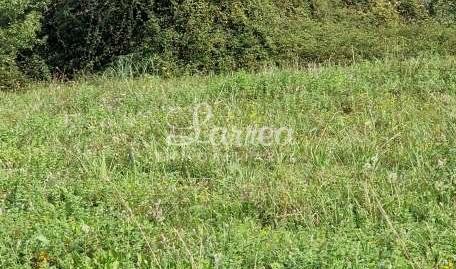 Photo 4 of Country house for sale in Arratzu, Bizkaia