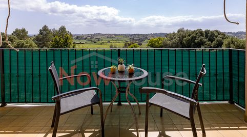 Foto 4 de Planta baja en venta en Carrer Antoni Maura, Santa Margalida Poble, Santa Margalida