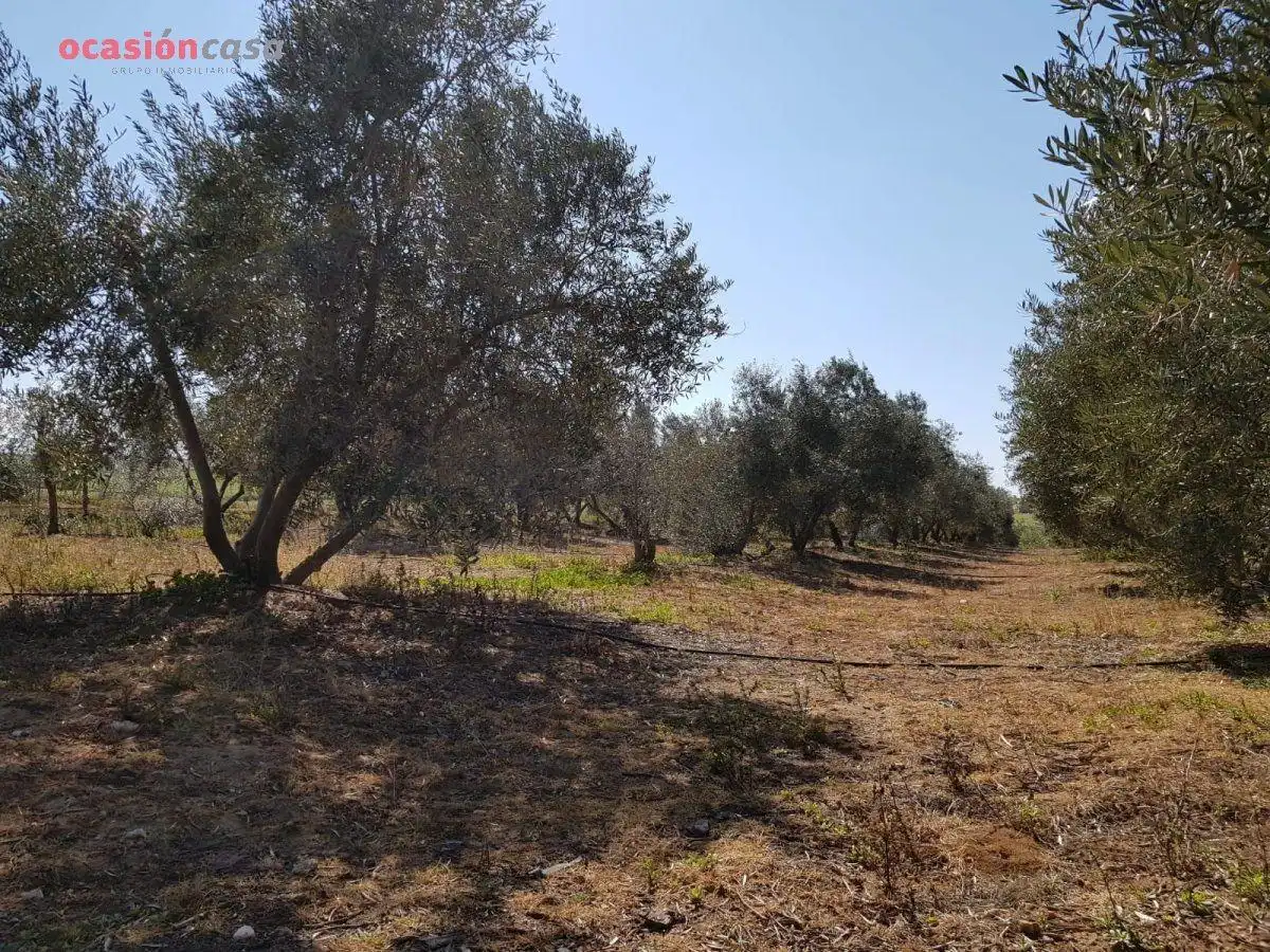 Villa con piscina in vendita a Añora, imagen 41