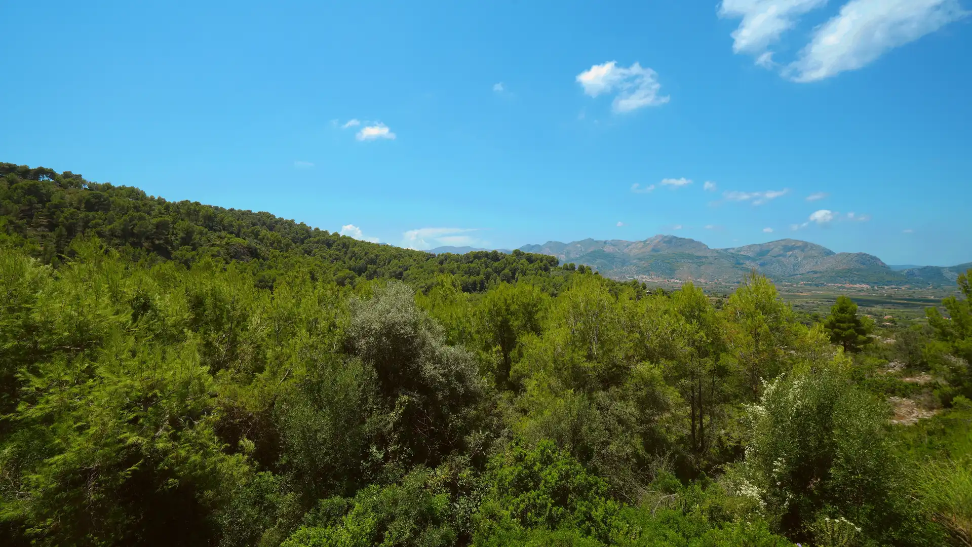 Country homes for sale in Benidoleig, Alicante