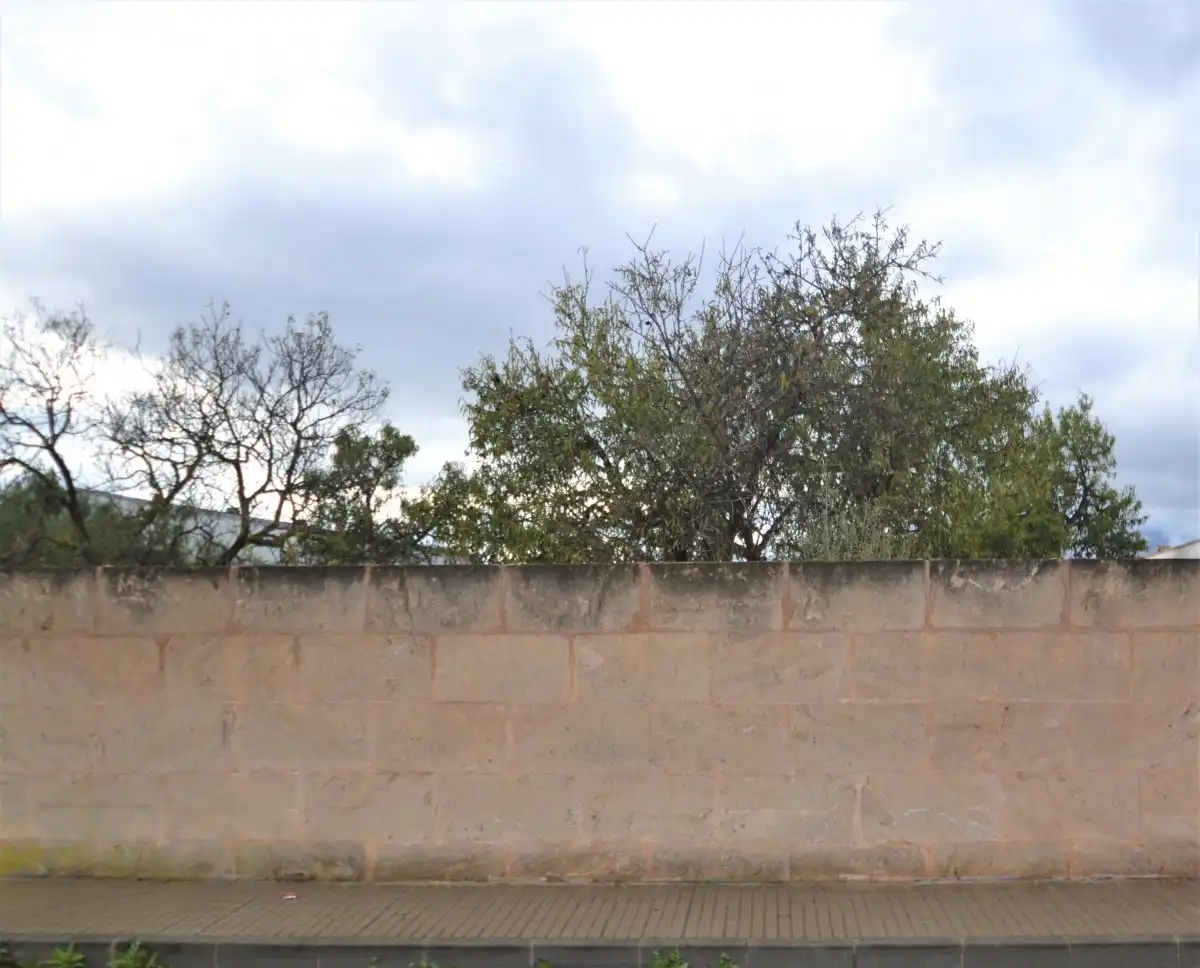 Lands and plots for sale in Calle RAMON LLULL, imagen 4