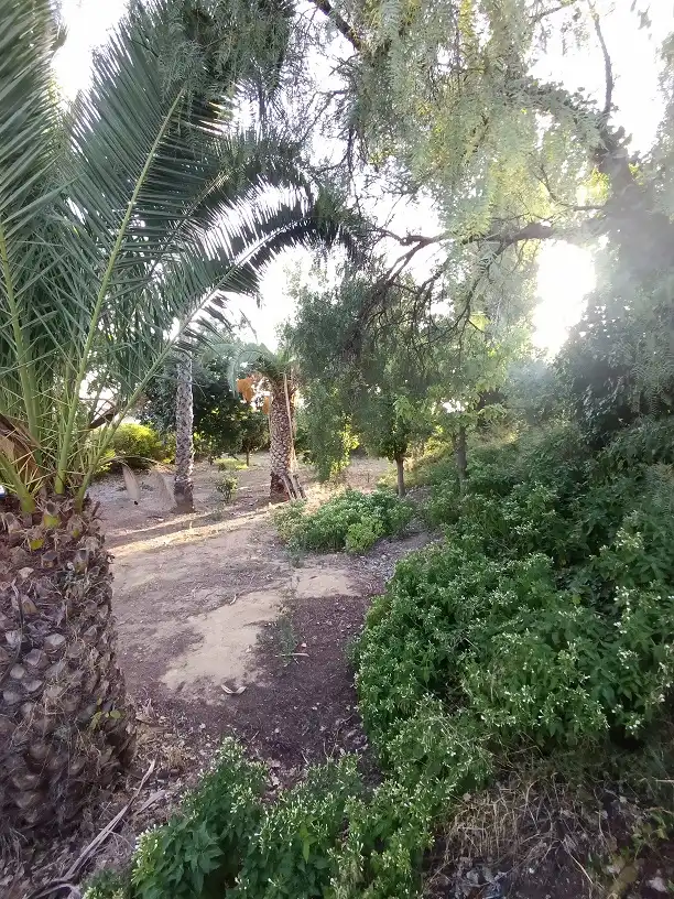 Casa o chalet en venta en Tobarra con Aire acondicionado, Calefacción y Jardín privado