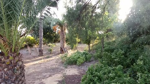 Foto 3 de Casa o chalet en venta en Tobarra, Albacete