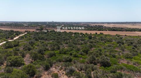 Photo 5 of Land for sale in Santanyi, 1, Santanyí Poble, Illes Balears