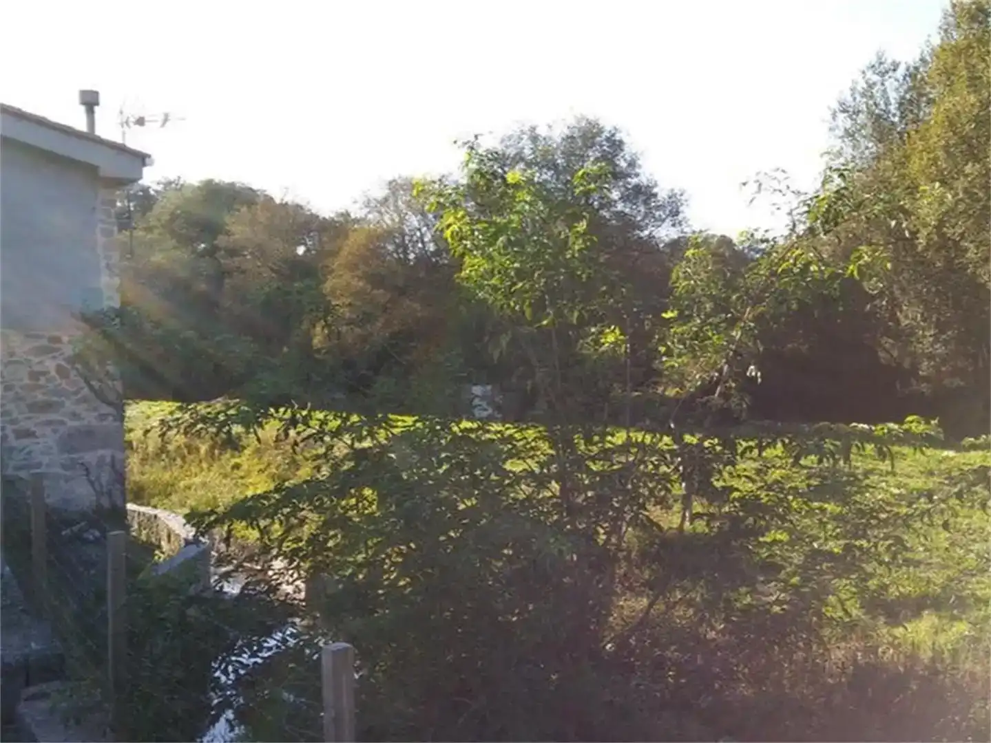 Finca rústica en venta en Área Rural