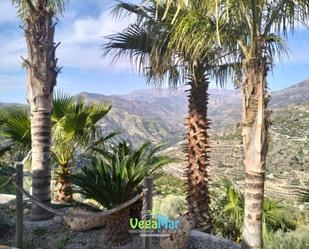 Vista exterior de Finca rústica en venda en Itrabo amb Jardí privat, Terrassa i Piscina