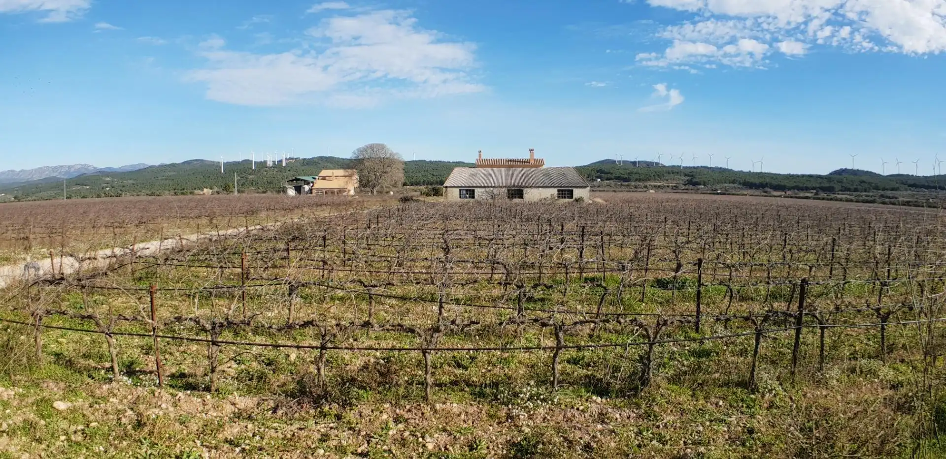 Finca rústica en venta en El Perelló con Jardín privado, Terraza y Trastero