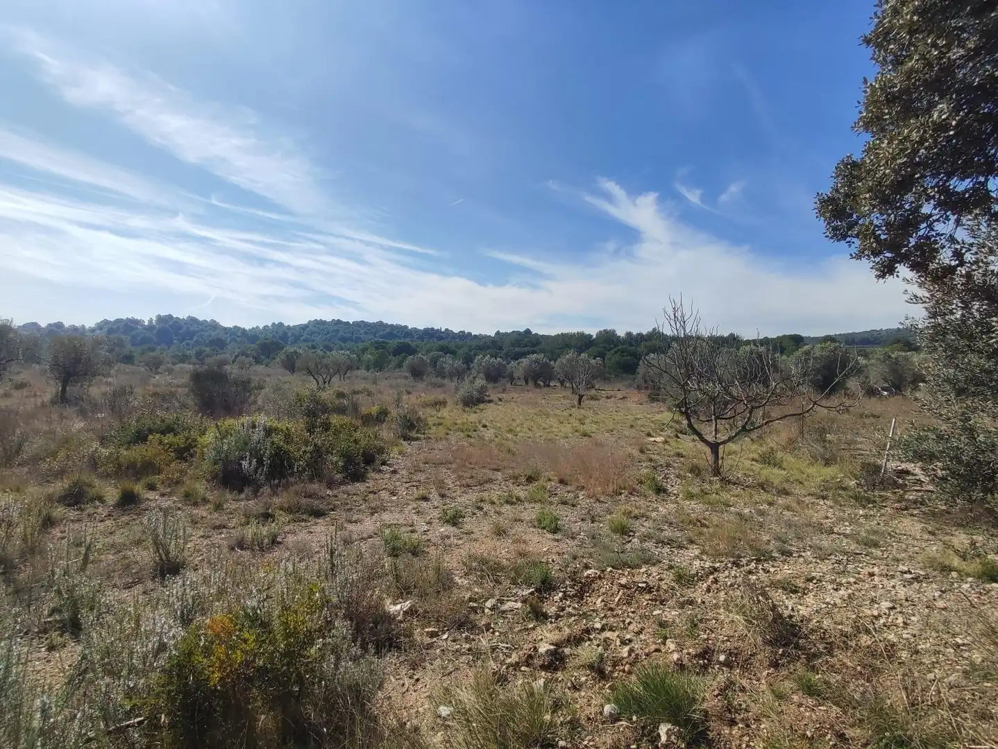 Country homes for sale in Collbató