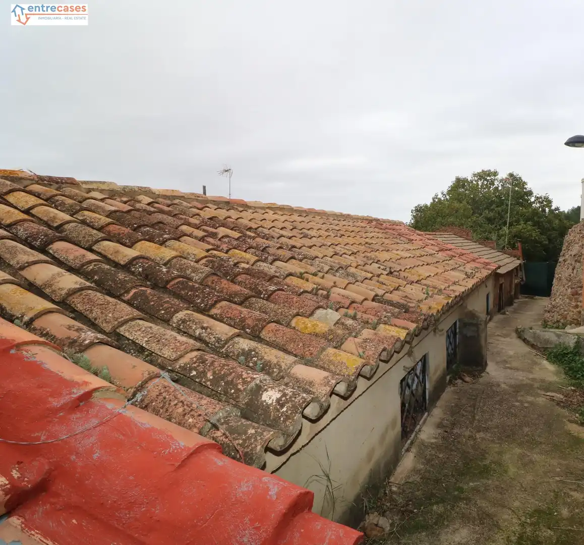 Vista exterior de Finca rústica en venda en Estivella