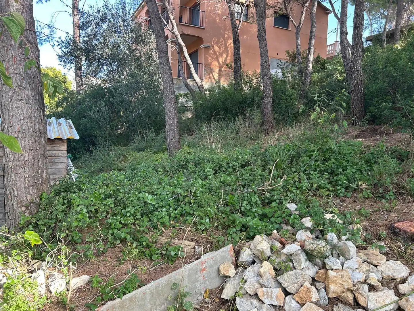 Lands and plots for sale in Segur de Calafell, imagen 7