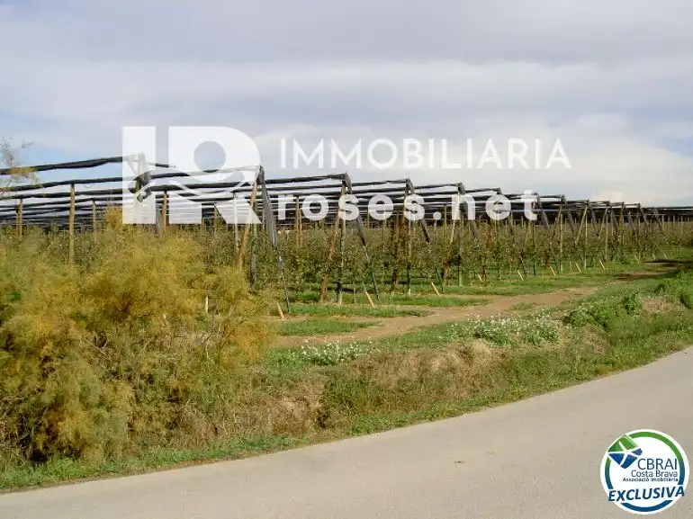 Rural land for sale in cortal vell, imagen 3