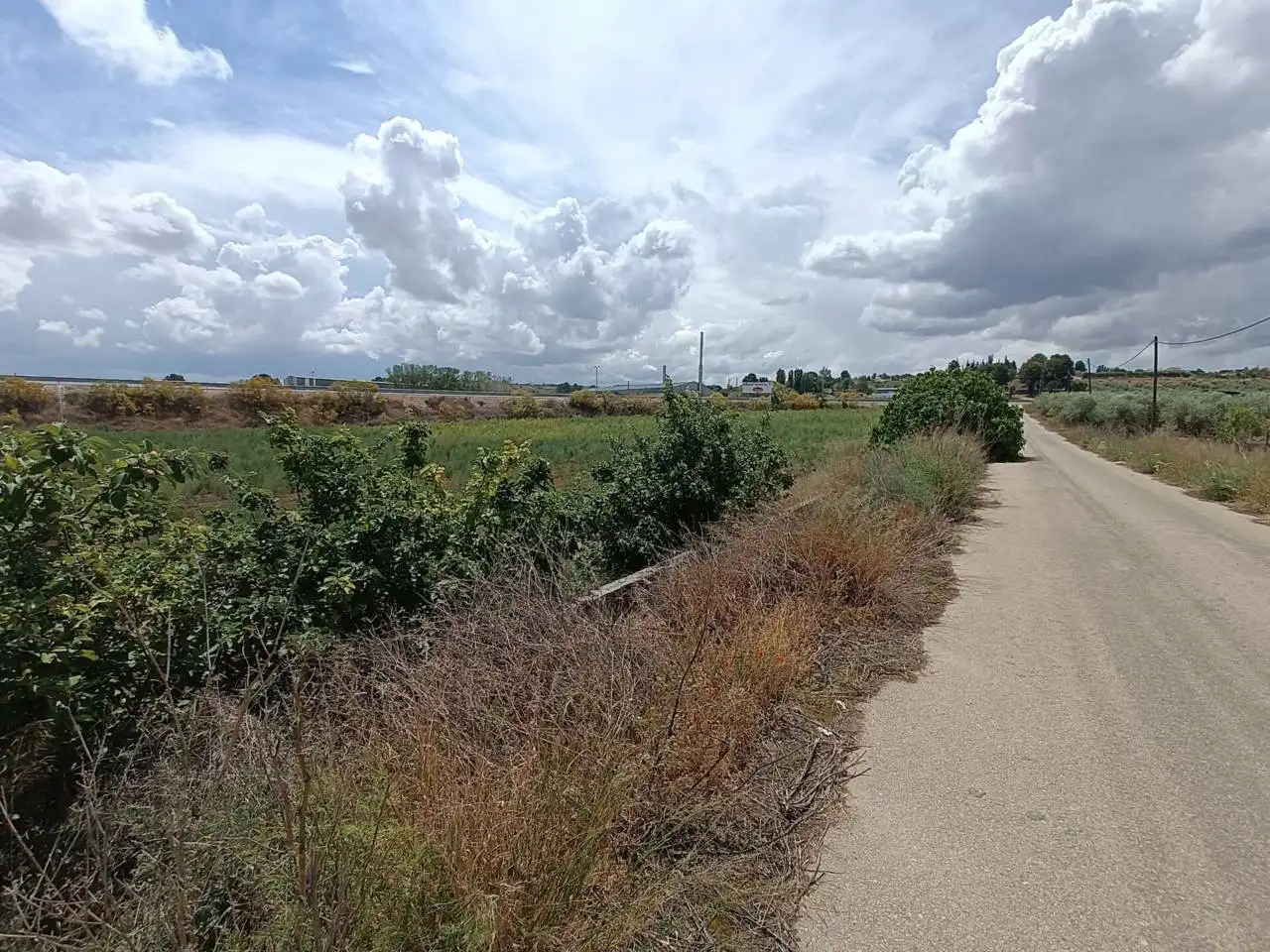 Rural land for sale in Moraleda de Zafayona, imagen 14