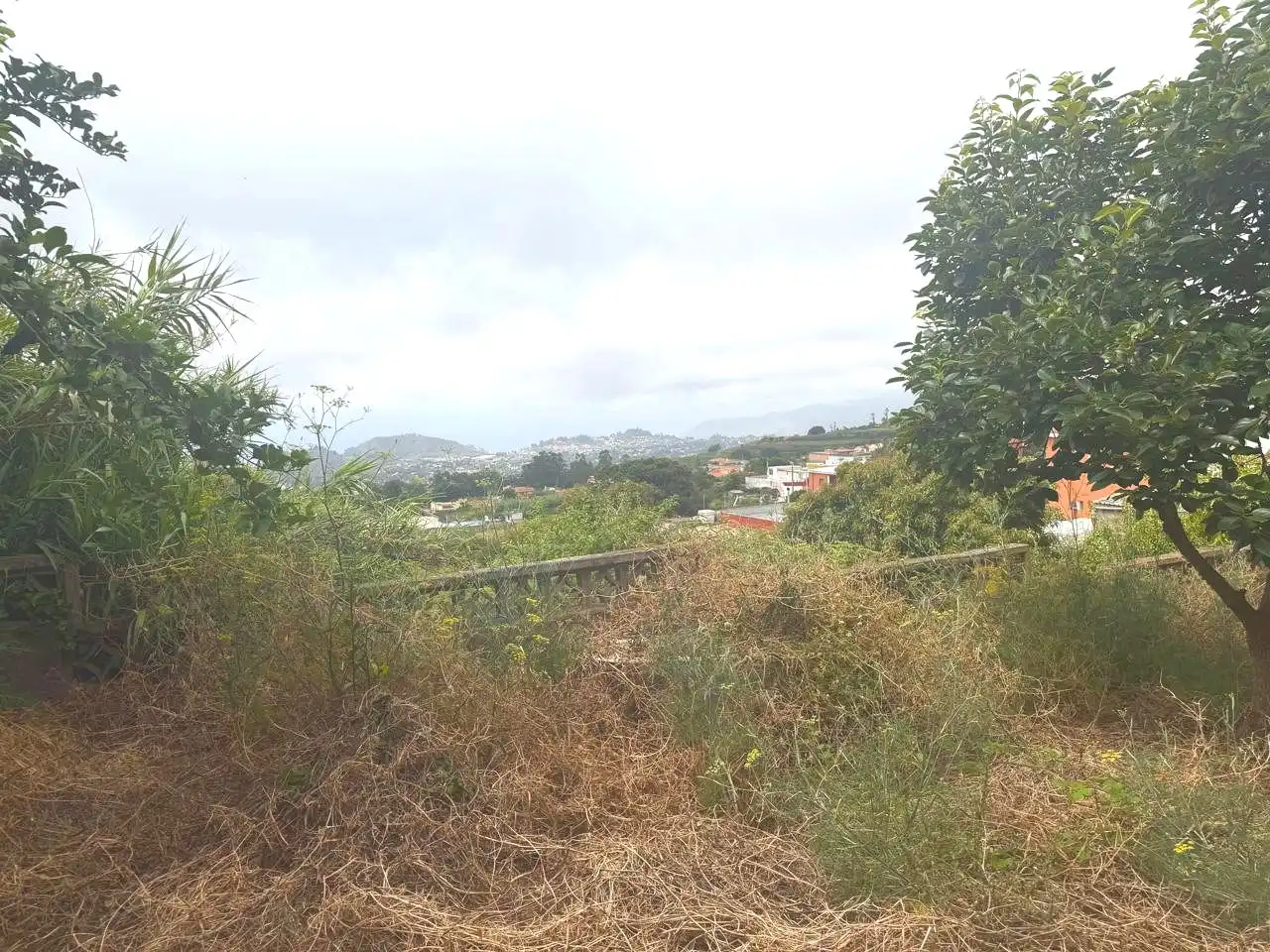 Casa o xalet en venda en Tacoronte amb Jardí privat, Terrassa i Traster