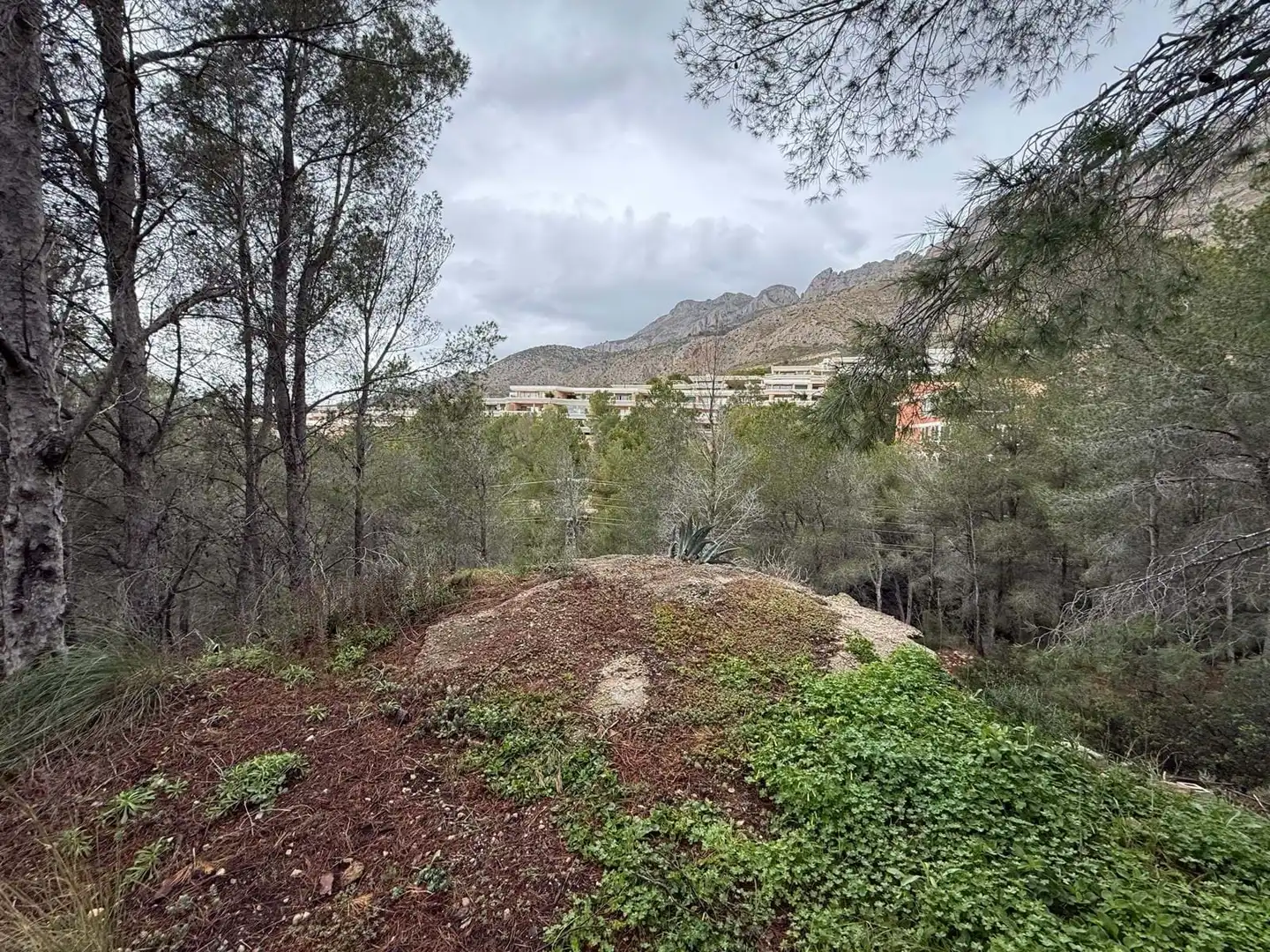 Terreny residencial en venda a Erica, imagen 7