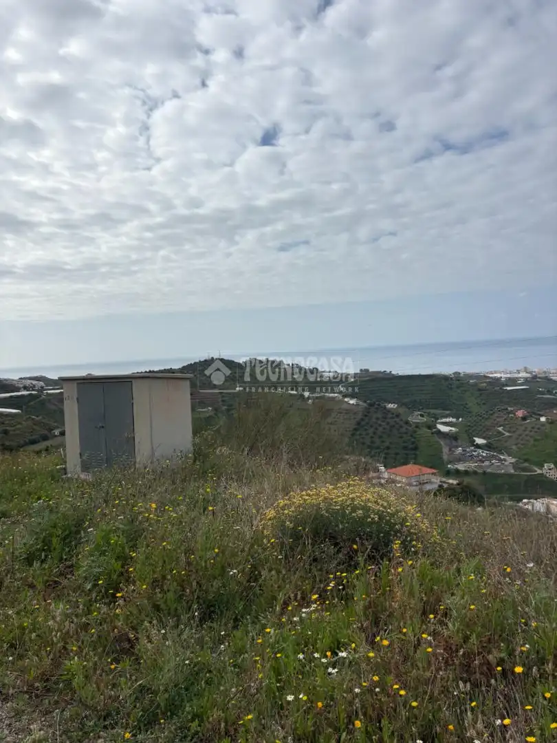 Terreny rústic en venda a Algarrobo pueblo, imagen 10