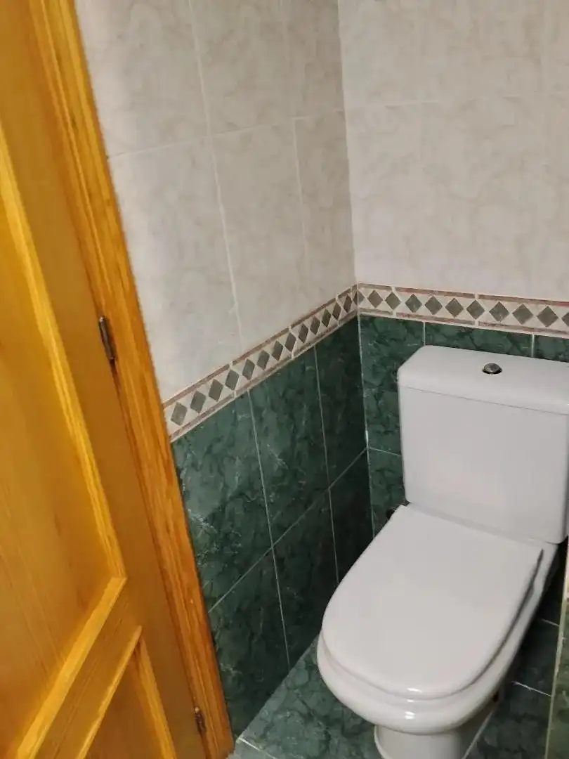 Bany de Pis en venda en Algemesí amb Aire condicionat, Terrassa i Moblat