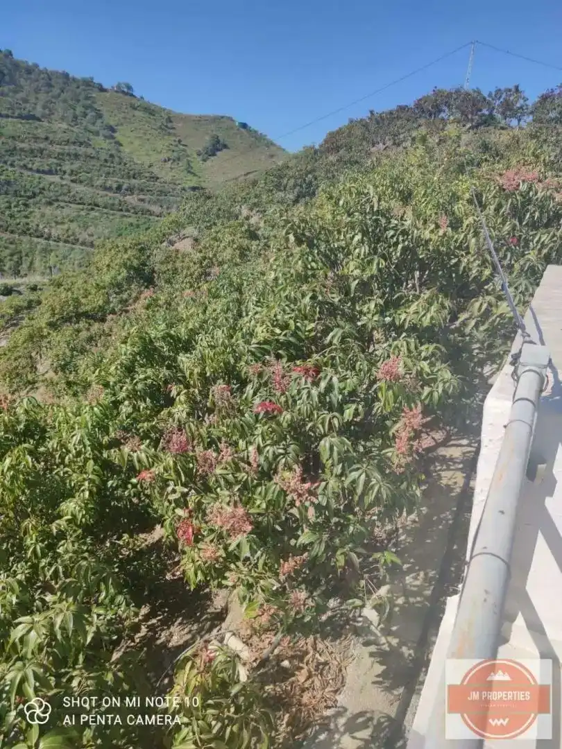 Terreno en venta en Almáchar, Málaga
