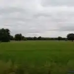 Rural land for sale in Topas, imagen 27