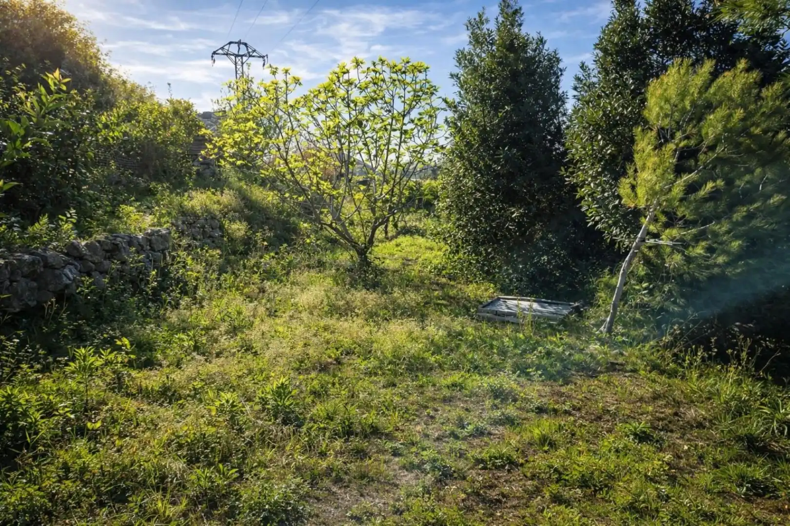 Terreno rústico en venta en Benimeli, imagen 19