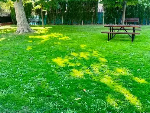 Jardín de Casa o chalet en venta en  Madrid Capital con Piscina