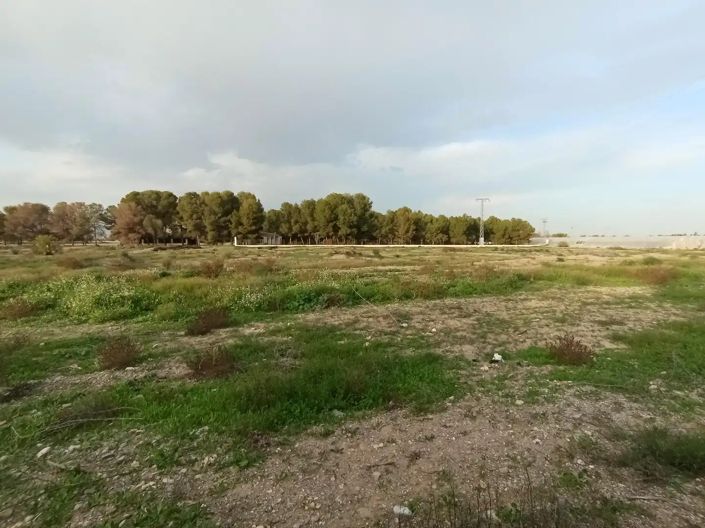 Terreny rústic en venda a Puerto Lumbreras, imagen 11