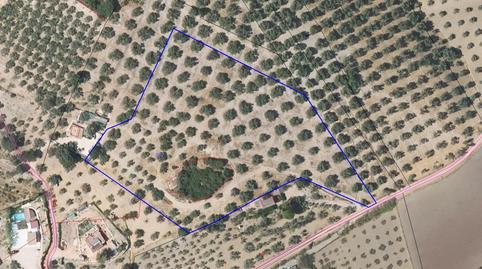 Foto 2 von Residential zum Verkauf in Partido de las Carboneras, Villanueva del Rosario, Málaga