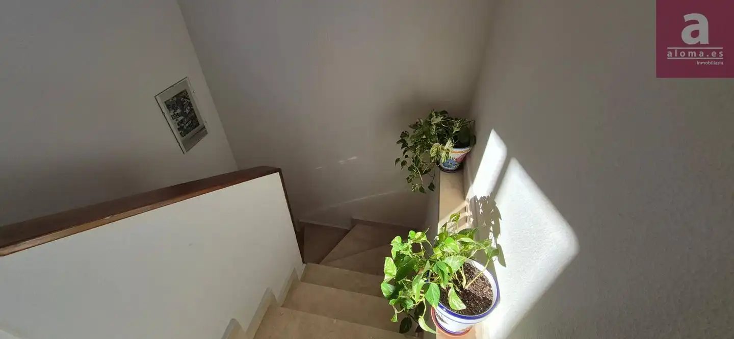 Duplexes for sale in Nuevo Cáceres