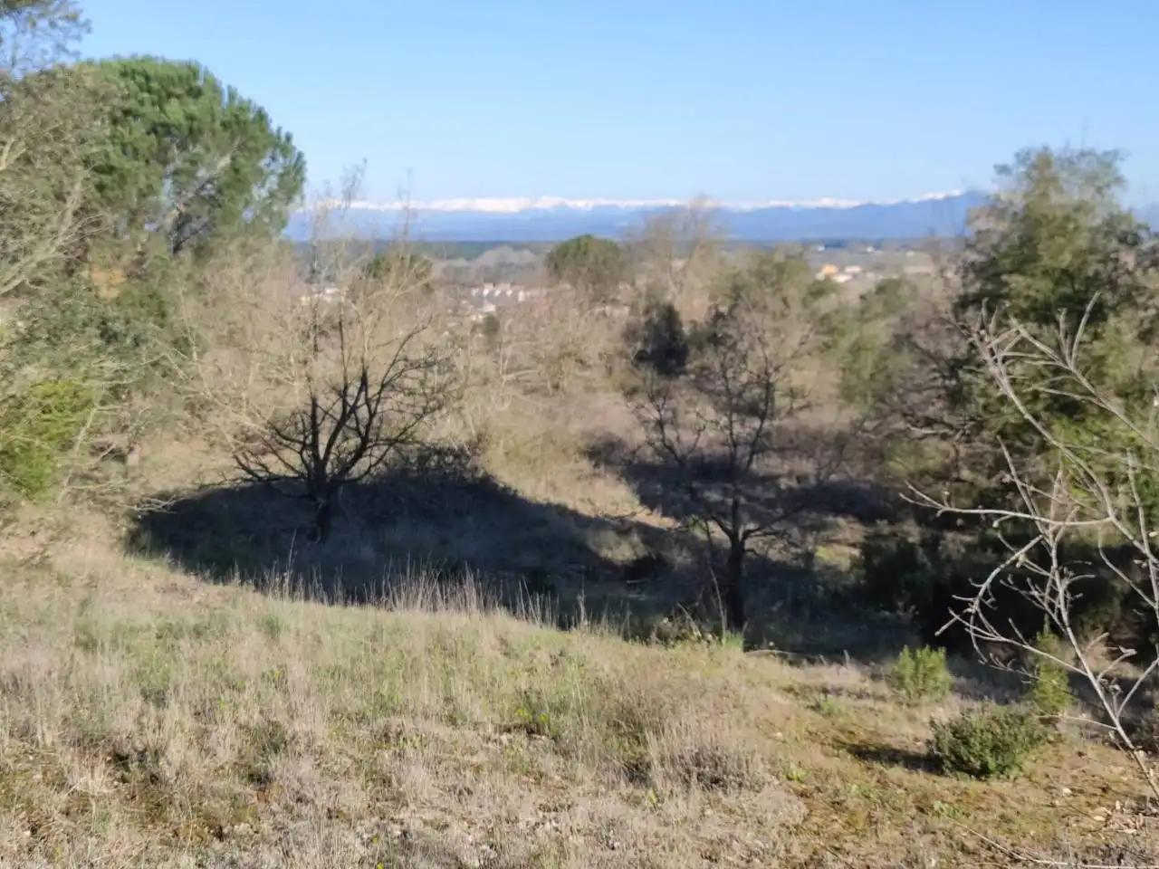 Terrain rustique à vendre à Calle VEINAT MATEUES 11, imagen 3