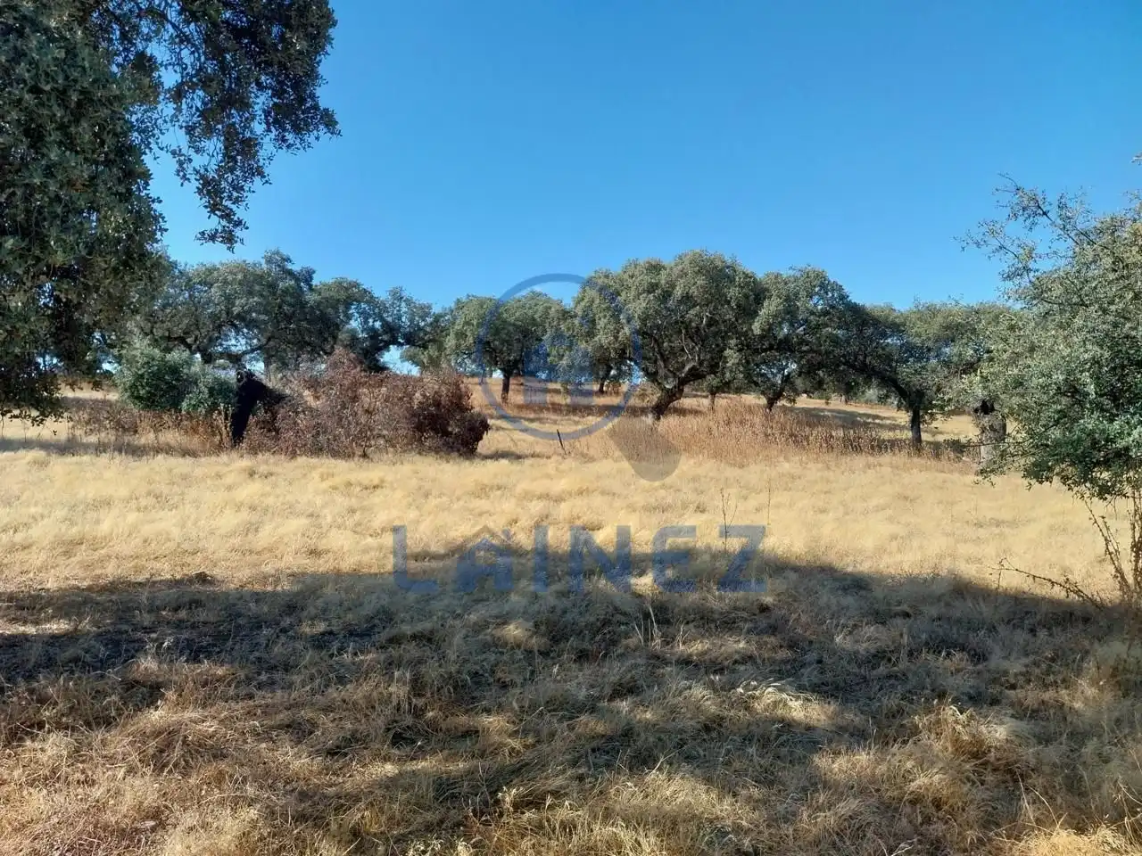 Lands and plots for sale in Fuente Obejuna, imagen 21