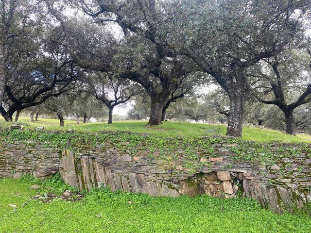 Terreno en Venta en Mohedas de la Jara