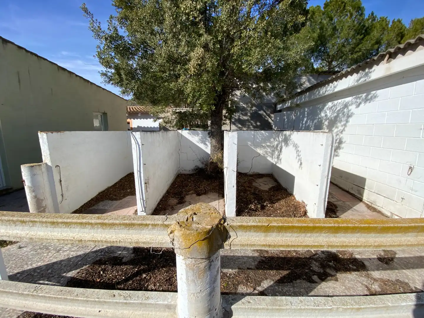 Jardín de Casa o chalet en venta en Salinas con Aire acondicionado, Jardín privado y Terraza