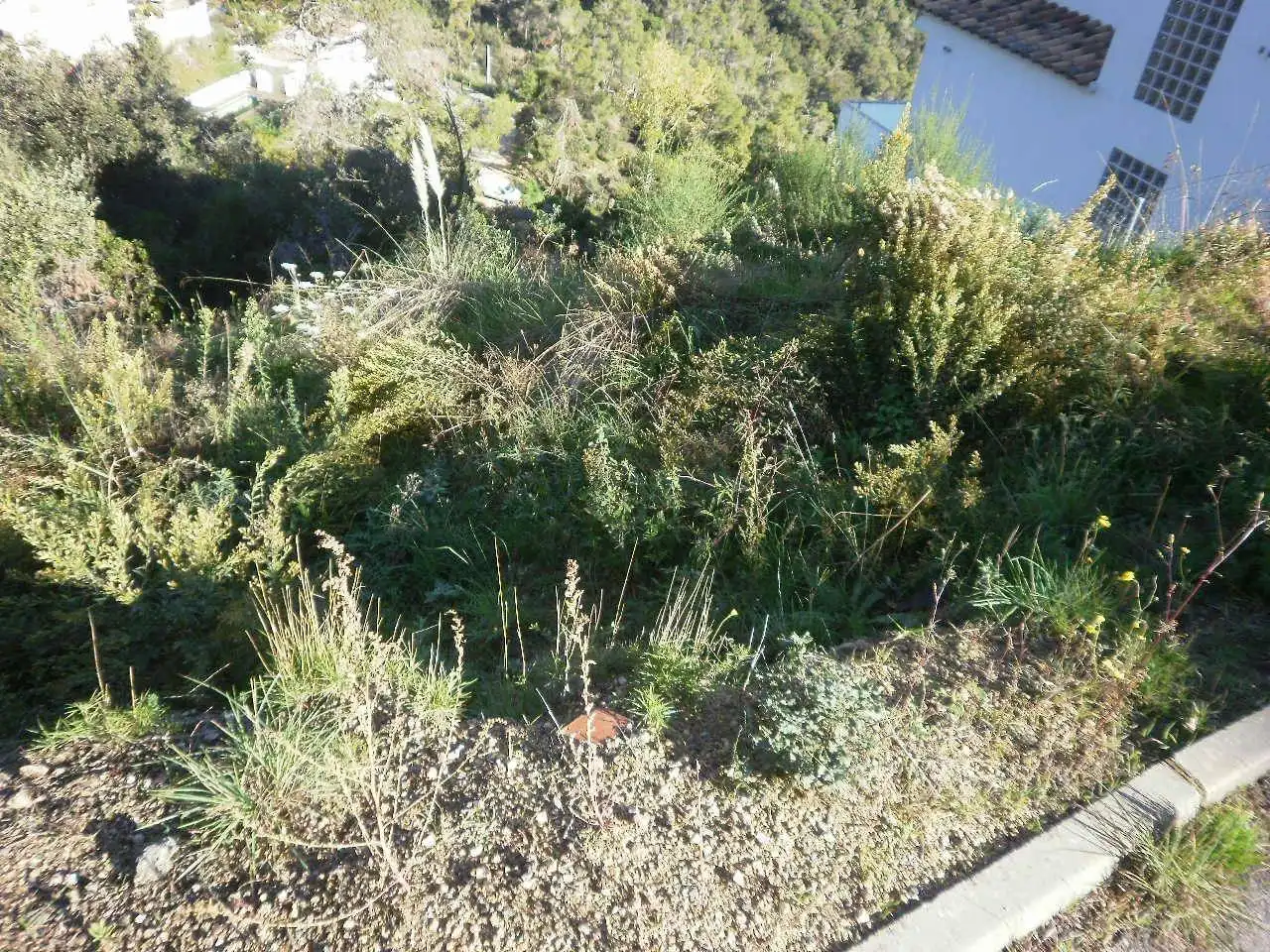 Residential land for sale in Palafolls, imagen 5