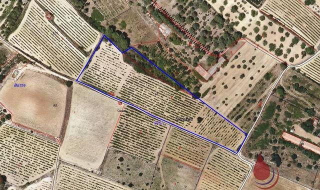 Terreno residencial en Venta en TORRELLES en Puigpelat